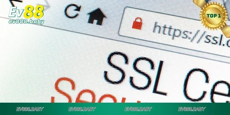 Biện pháp SSL bảo mật dữ liệu tối ưu