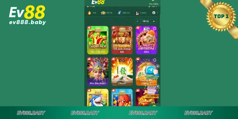 Cái nhìn về lịch sử và phát triển của nhà cái