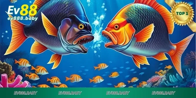 Điều quan trọng khi tham gia bắn cá thần tài