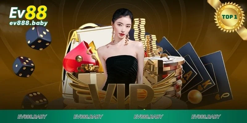 Giới thiệu chương trình VIP