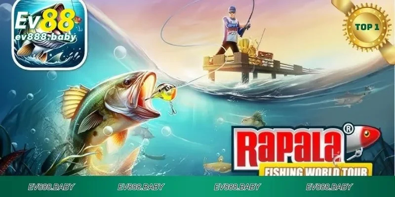 Luật chơi vua đánh cá