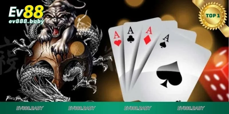 Một số bí quyết khi tham gia đặt cược long hổ