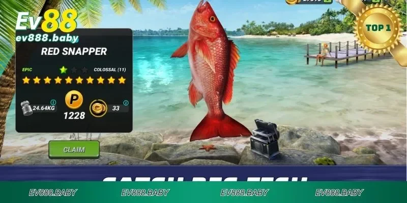 Một số điều quan trọng khi tham gia đánh cá vui vẻ