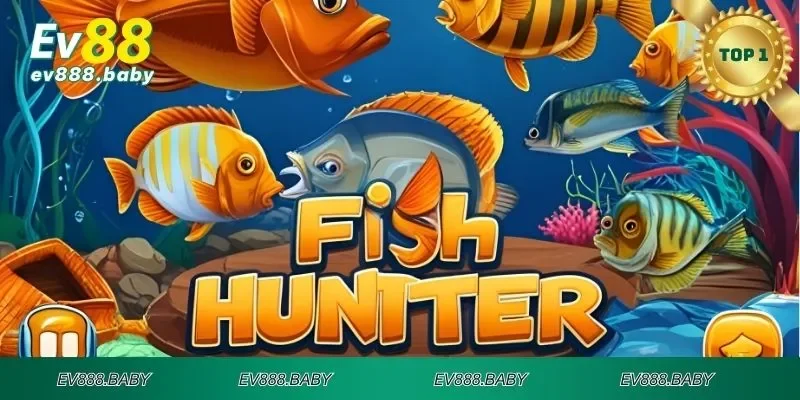 Nguyên tắc khi tham gia thợ săn cá