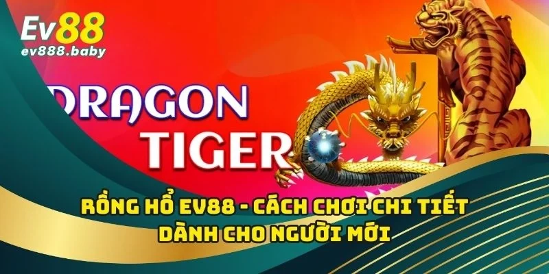 Rồng Hổ EV88 - Cách Chơi Chi Tiết Dành Cho Người Mới
