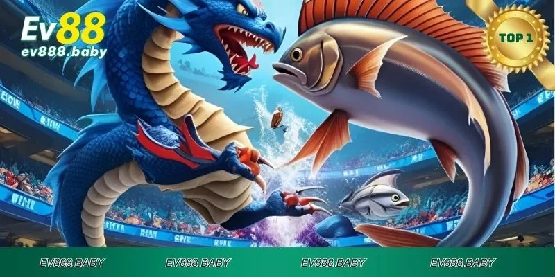 Tìm hiểu luật tham gia tiền long đánh cá