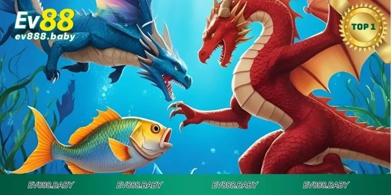 Thông tin tiền long đánh cá