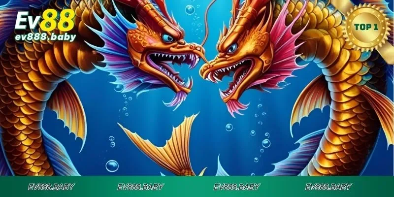 Vài điều cần nhớ khi tham gia tiền long đánh cá